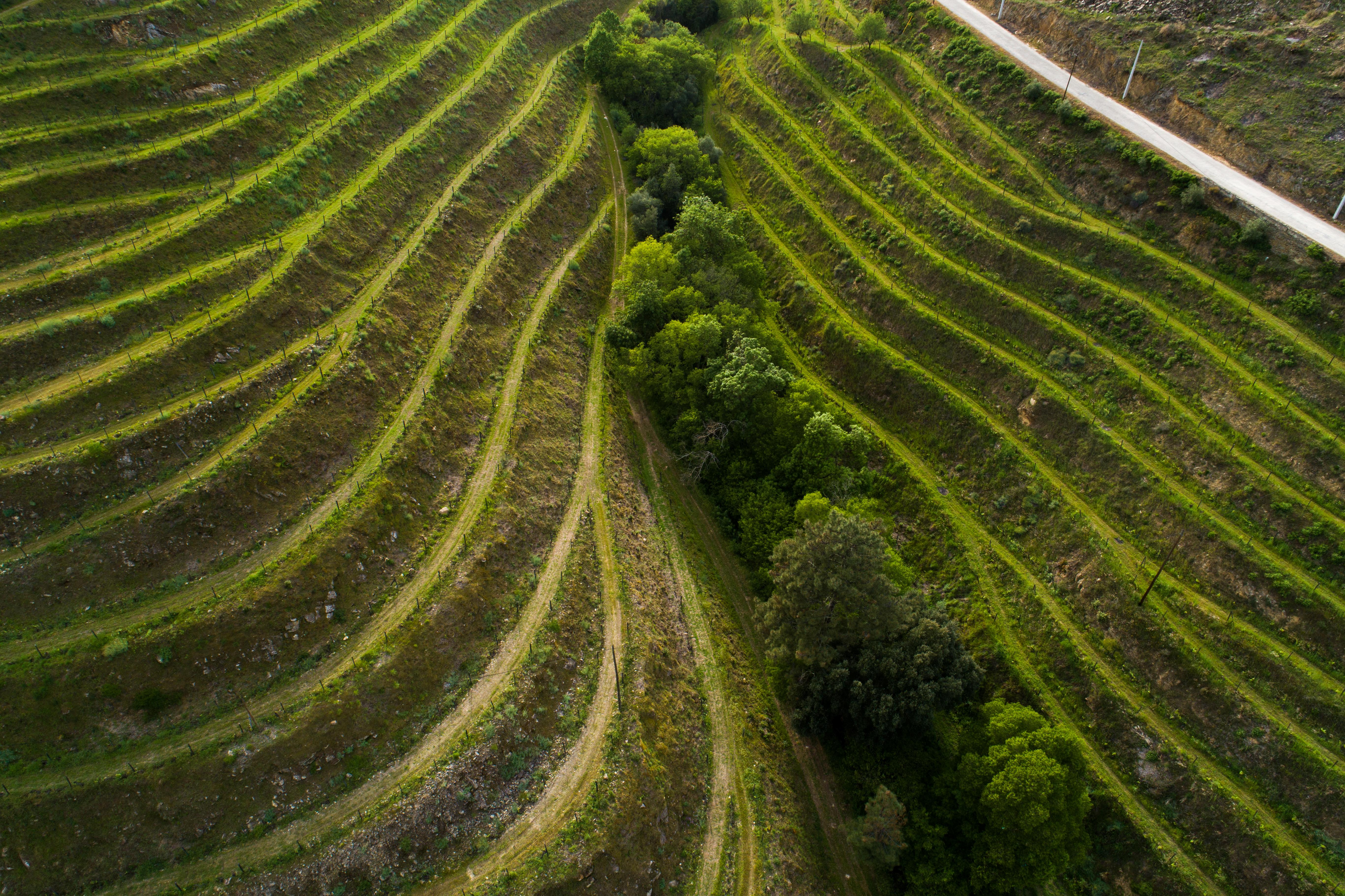 Vila Gale Douro Vineyards Armamar Eksteriør bilde